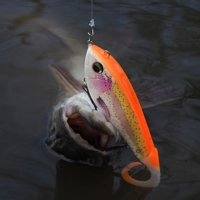 Savage Gear Deviator Tail Lures 16.5cm/48g
